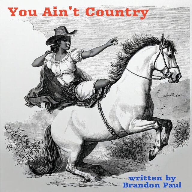 You Ain't Country
