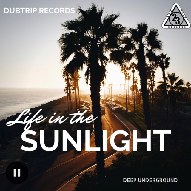Life in the Sunlight