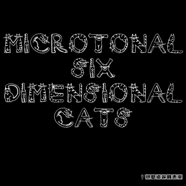 Microtonal Six-Dimensional Cats