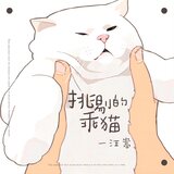 挑剔的乖貓(伴奏)