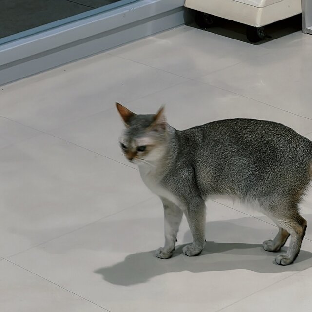 寝ろ。