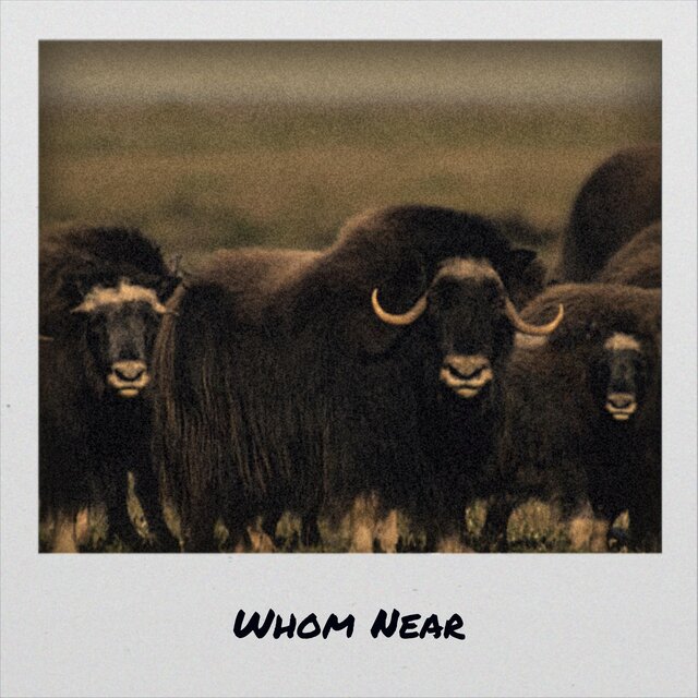 Whom Near