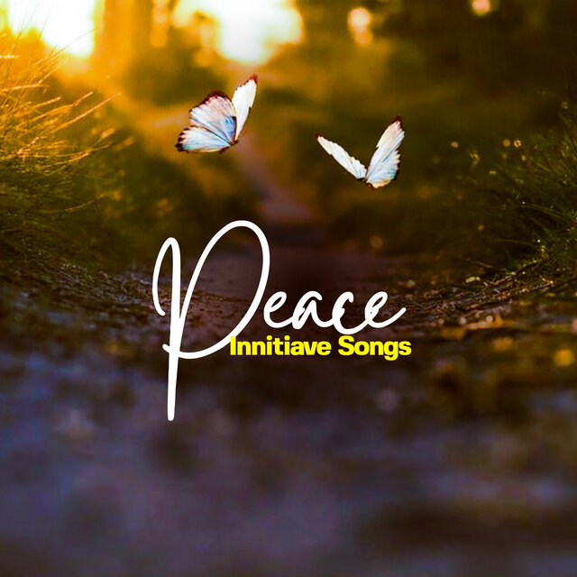 Peace Innitiative