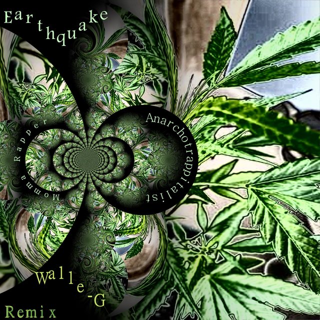 Cover art for album  by Momma Rapper