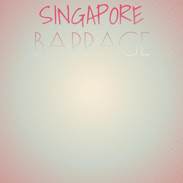 Singapore Barrage