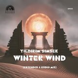Winter Wind (Radio Mix)