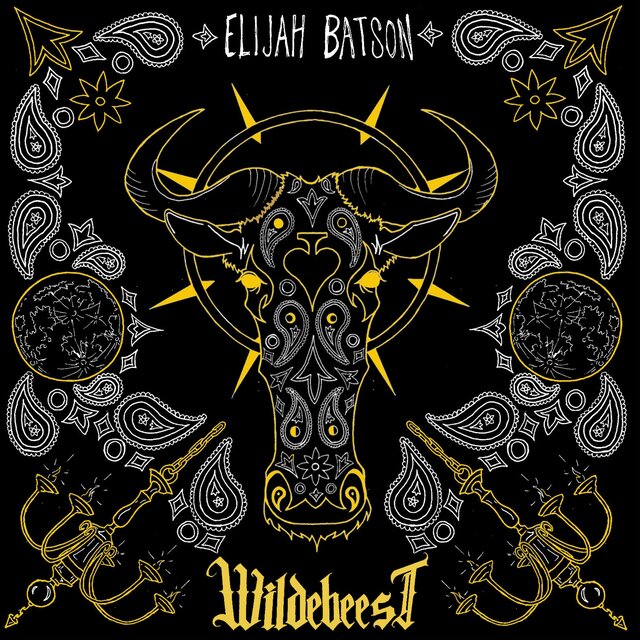 Wildebeest