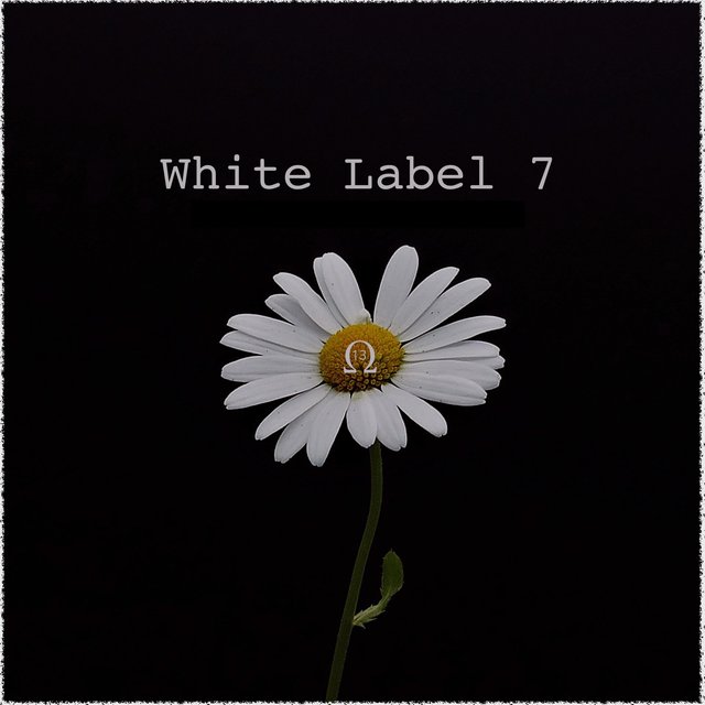 White Label 7