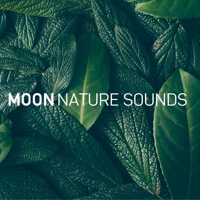 Deep Sleep (8D Audio)