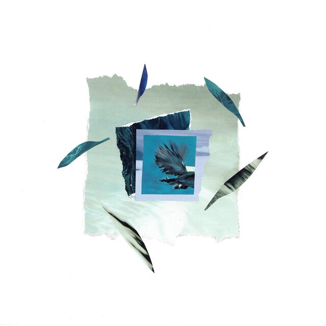 Wilted leaves