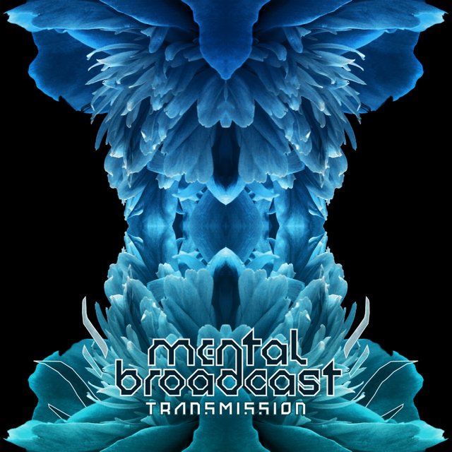 Transmission