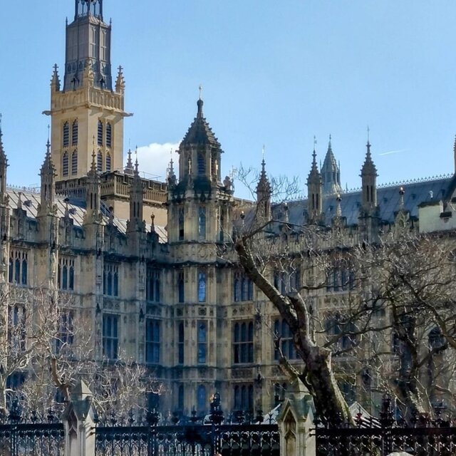 Solo in London