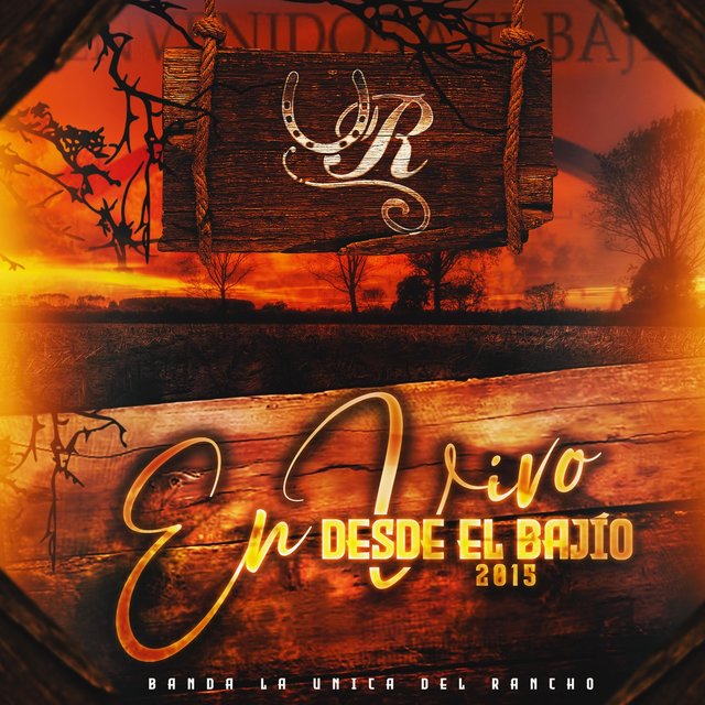 Desde el Bajío (En Vivo)