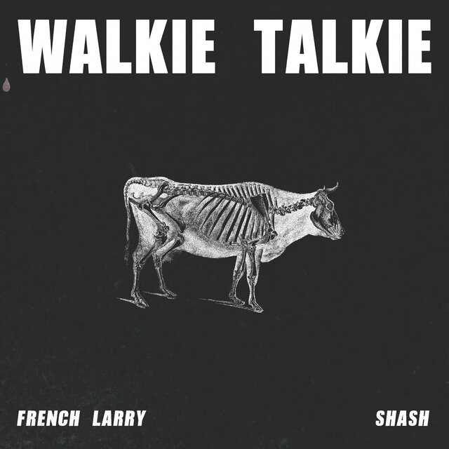 Walkie Talkie