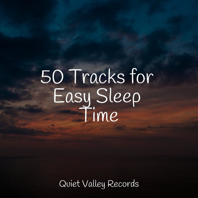 50 Tracks for Easy Sleep Time