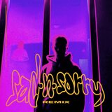 Sad´n Sorry (feat. nicht fanny) (Remix)