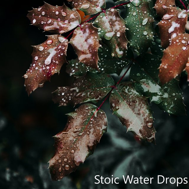 Stoic Water Drops