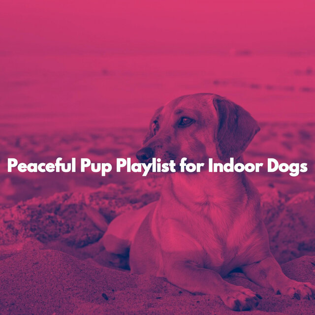 Peaceful Pup Playlist for Indoor Dogs