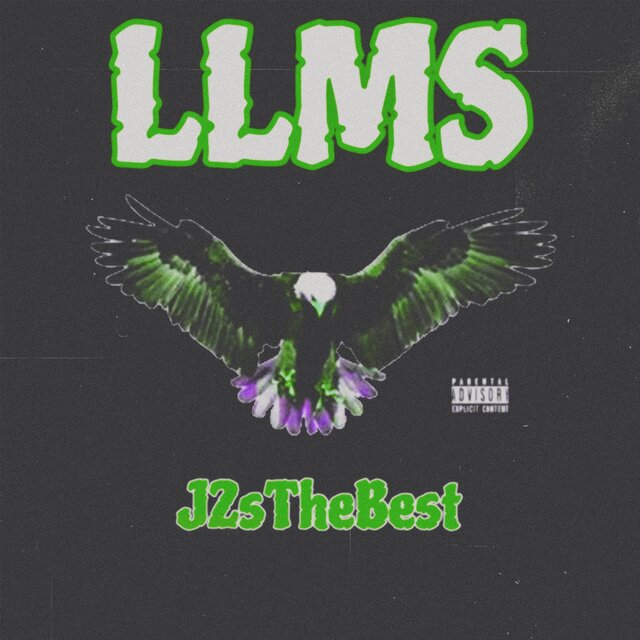 LLMS