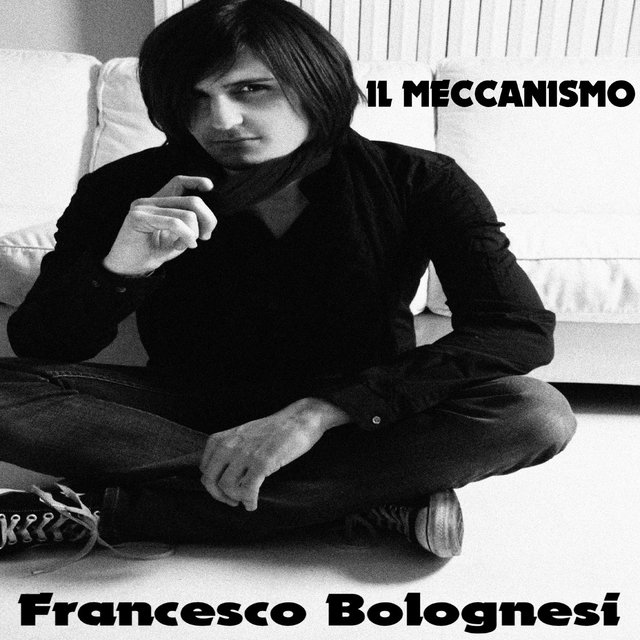 Il meccanismo