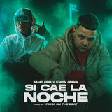 Si Cae la Noche