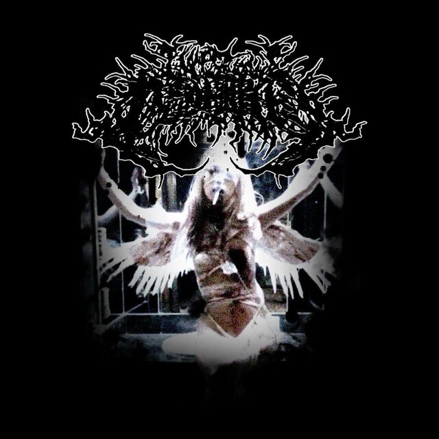 Fallen Angels