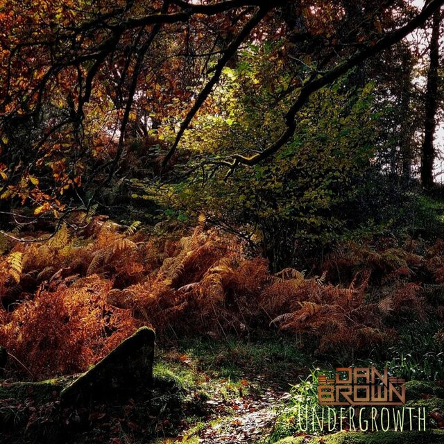 Undergrowth