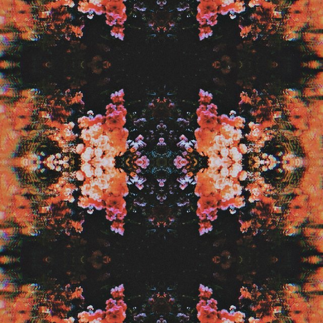 EDEN
