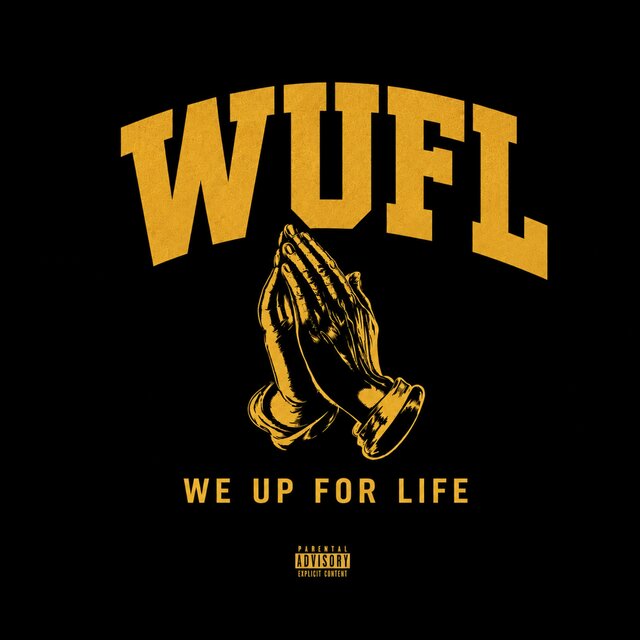Cover art for album  by Vizco