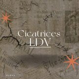 Cicatrices