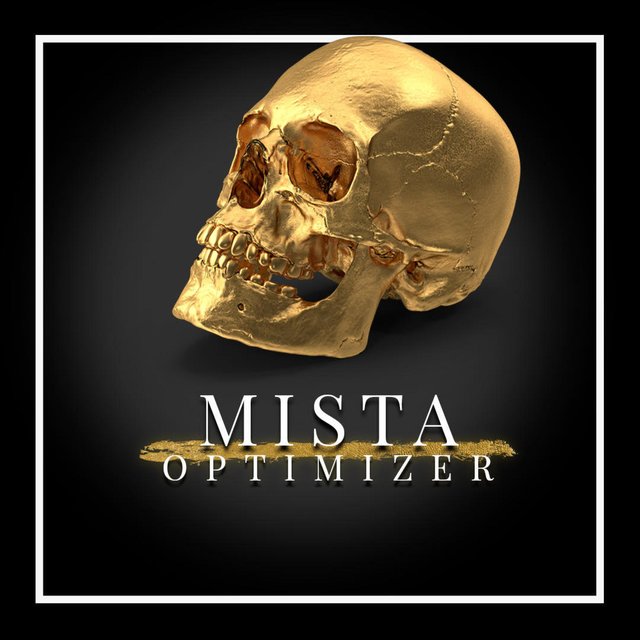 Optimizer