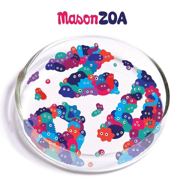 Zoa