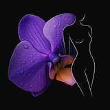 orquídies pt.2