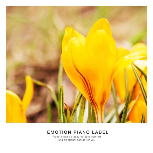 Healing New Age Piano To Keep Your Mind Healthy