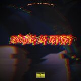 Exotica la mamita