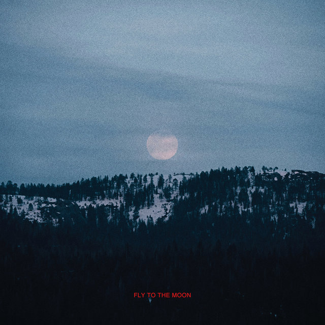 Fly To The Moon