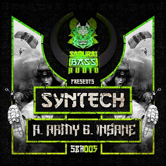 Army / Insane