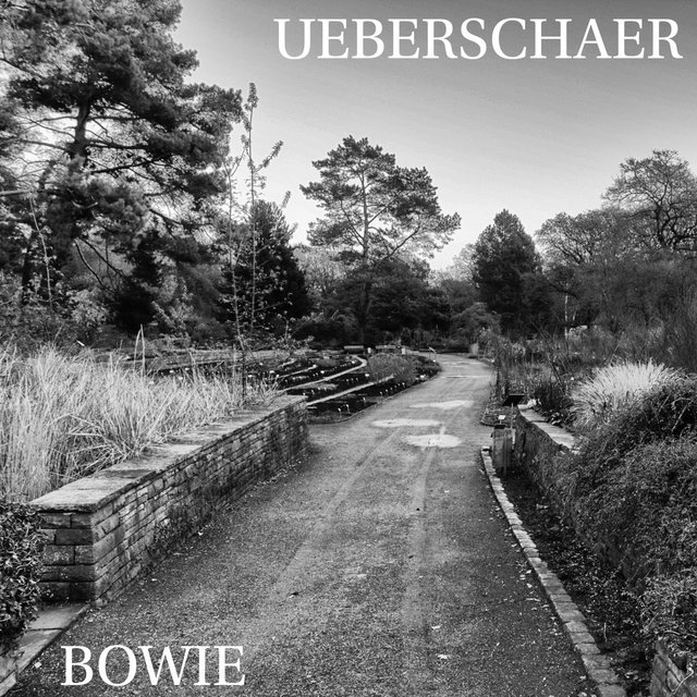 Bowie
