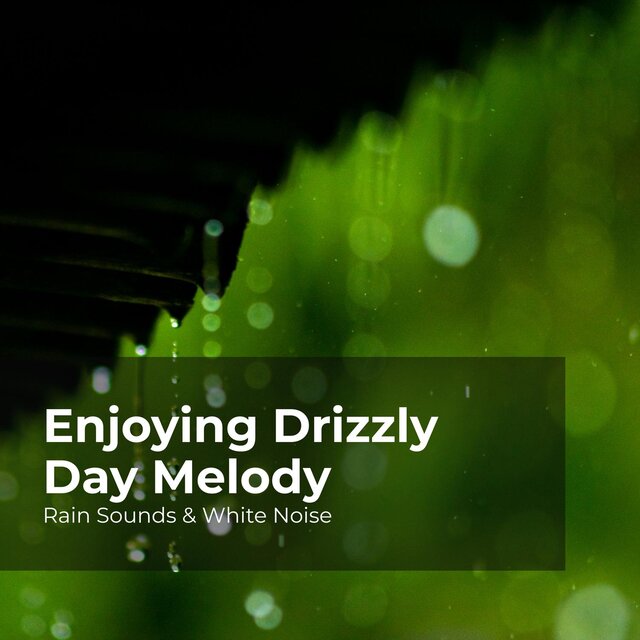 Enjoying Drizzly Day Melody