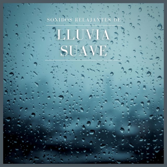Sonidos Relajantes de Lluvia Suave