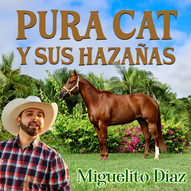 Pura Cat y sus Hazañas