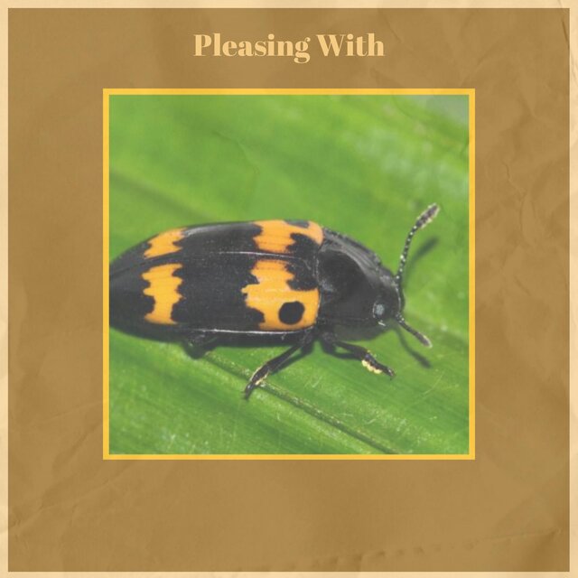Pleasing With