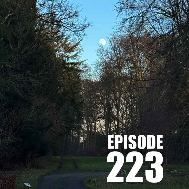 Cover art for album The Real Sam Crane Selects Ep. 223 by User