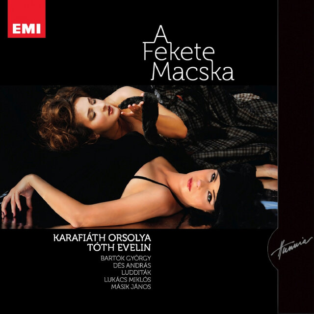 A Fekete Macska