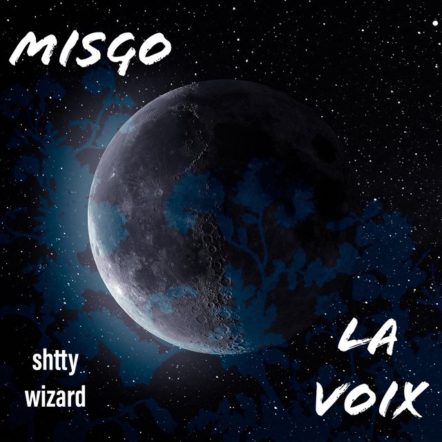 LA VOIX