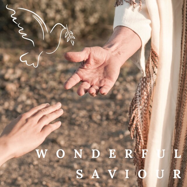 Wonderful Saviour
