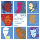 Allegretto for String Quartet in B Minor, WoO 210 “Pencarrow”