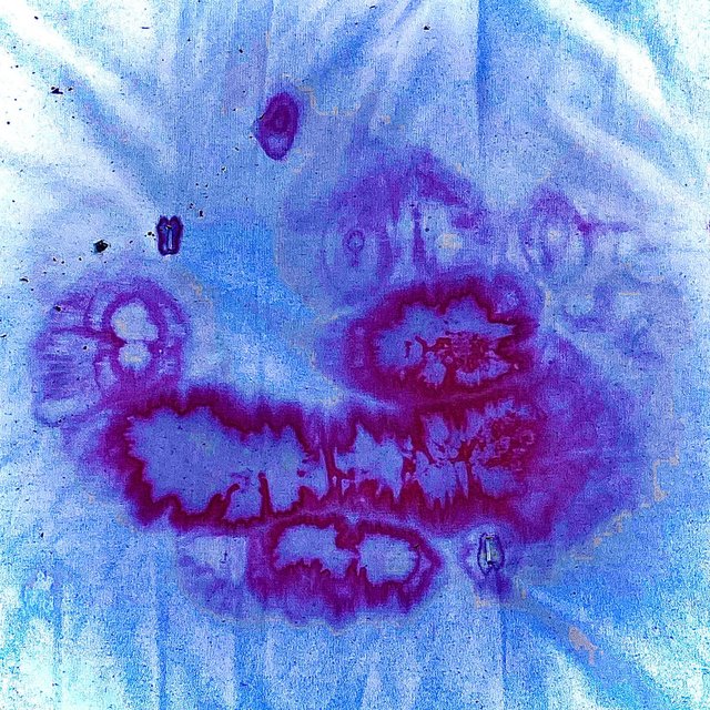 mitten