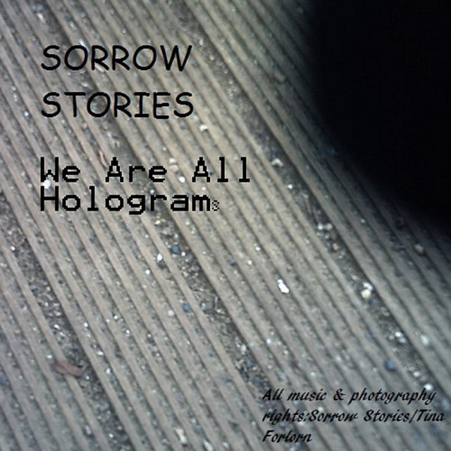 We Are All Holograms 