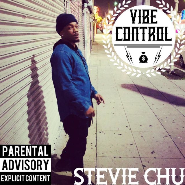 Vibe Control